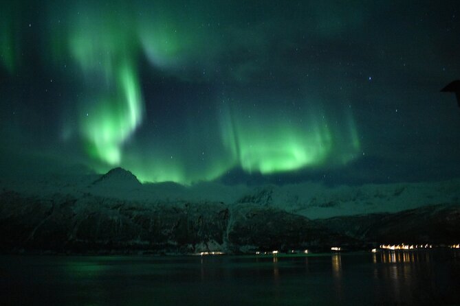 The Aurora Tour - VIP Trip for Northern Lights, Aurora Borealis - Customer Reviews and Ratings