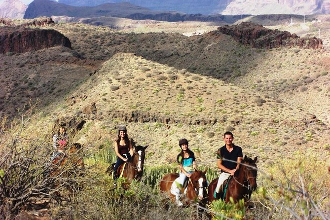 The Best Horse Riding Experience in Gran Canaria (2 Hours) - Tour Information