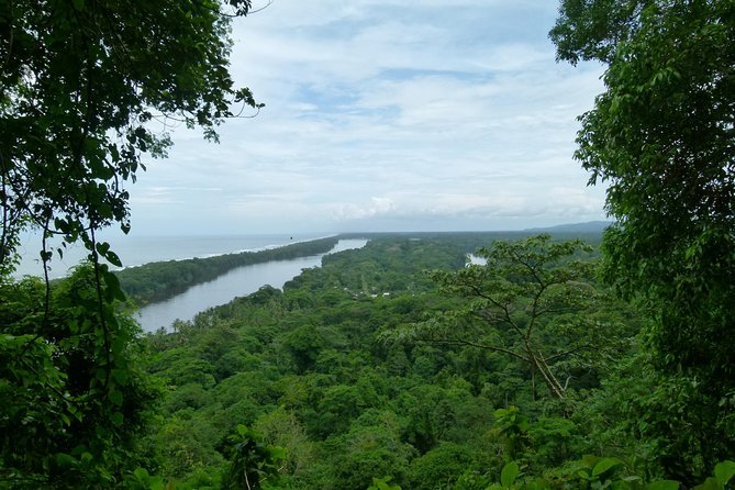 The Best of Tortuguero: Canoe, Hike and Night Tour (Turtle in Jul-Oct) - Expert Guides