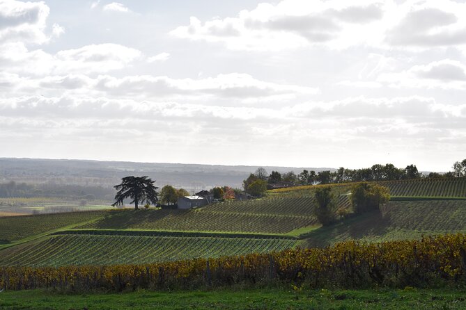 The Great Sauternes Wine Tour - Insider Tips
