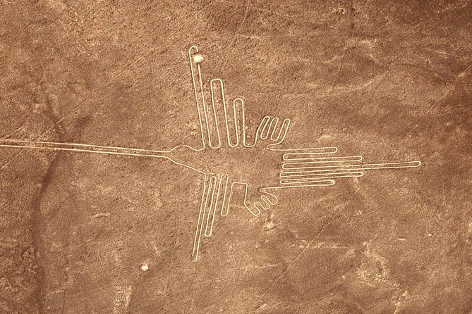 The Nazca Lines & Huacachina Oasis From Lima - Cancellation Policy and Additional Information