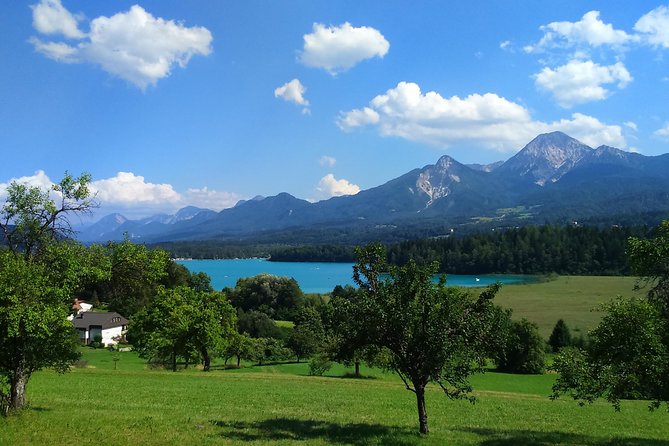 The South of Austria - Private Salzburg Sightseeing Tour - Booking Information