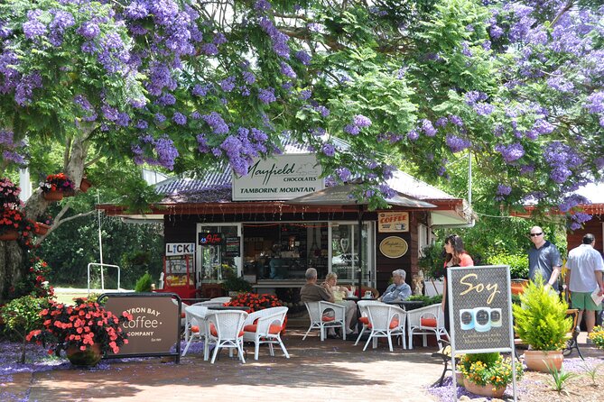 The Tastes of Tamborine Mountain - Enjoy a Guided Bushwalk Adventure