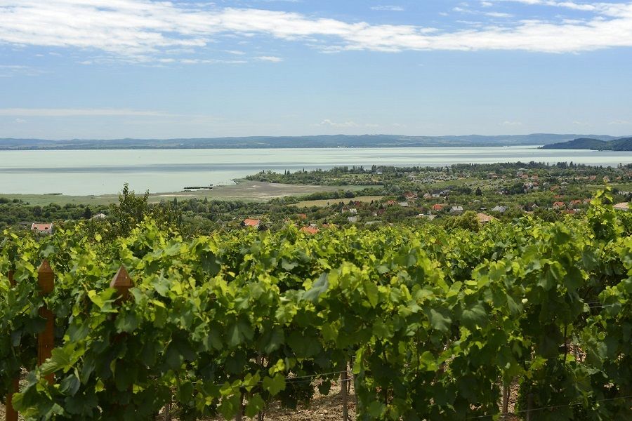 The Turquoise Sea of Hungary: Lake Balaton Private Tour - Unique Features of Lake Balaton