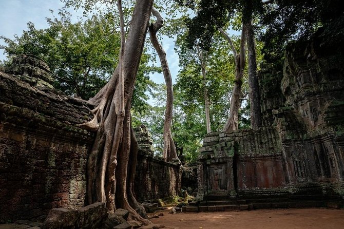 The Ultimate Angkor Wat Temple Private Day Trip - Transportation and Logistics