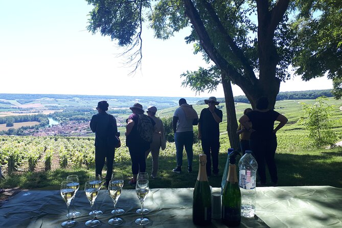 The Unmissable: Champagne Tasting at the Tops of the Vines - Tasting Experience