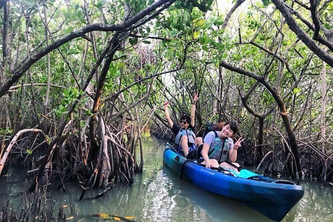 Thousand Island Mangrove Tunnel, Manatee & Dolphin Kayak Tour W/Cocoa Kayaking - Wildlife Encounters