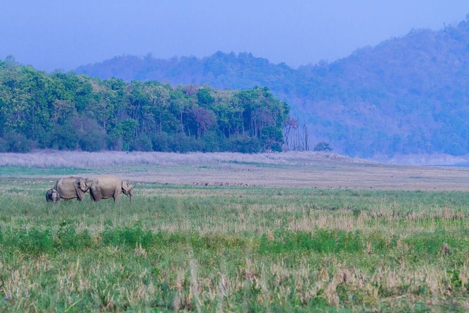 Three Days Jim Corbett National Park Tour - Day 1 Itinerary