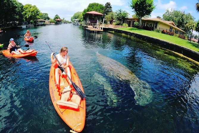 Three Sisters Springs Kayak And Swim Eco-Tour Crystal River - Guest Reviews