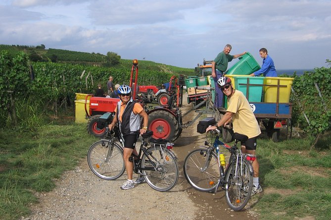 Through Alsace Vineyards and Wine Villages Private Bike Tour - Equipment and Refreshments