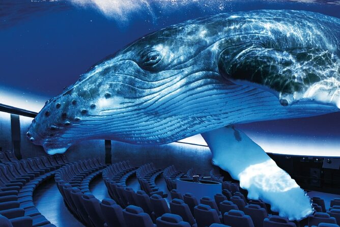 Ticket Palma Aquarium - Traveler Experiences and Recommendations