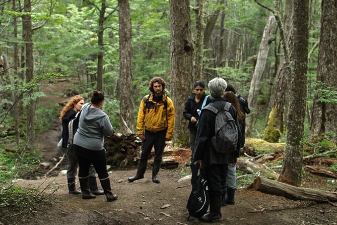 Tierra Del Fuego Emerald Lagoon Trekking With Lunch (Mar ) - Cancellation Policy and Reviews