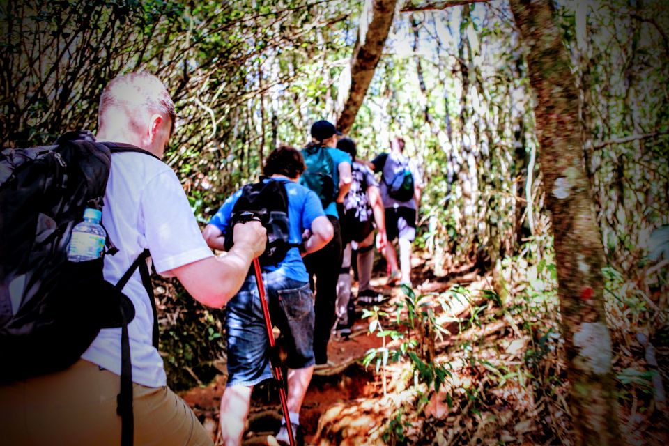 Tijuca Forest: Adventure & History Half-Day Hike - Review Summary