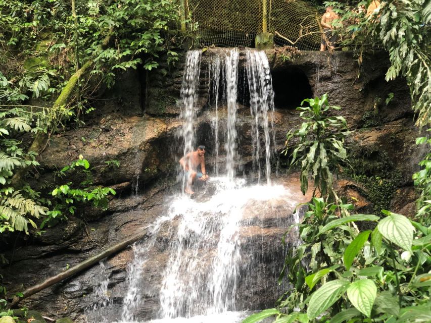 Tijuca Forests Hike: Caves, Waterfalls and Great Views - Full Description