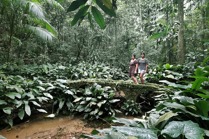 Tijuca National Park and All Its Wonders - Experienced Guided Tours