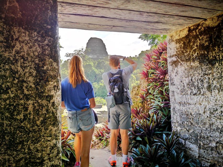 Tikal Sunrise, Archeological Focus and Wildlife Spotting - Wildlife Spotting Opportunities