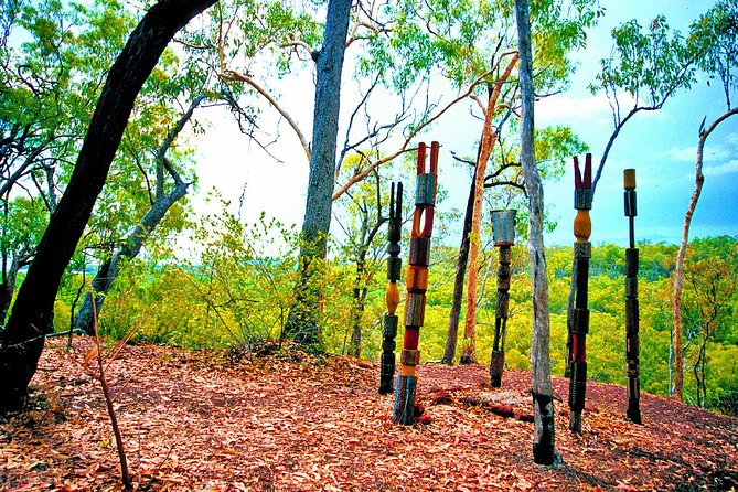 Tiwi Islands Cultural Experience From Darwin Including Ferry - Activities and Experiences Included