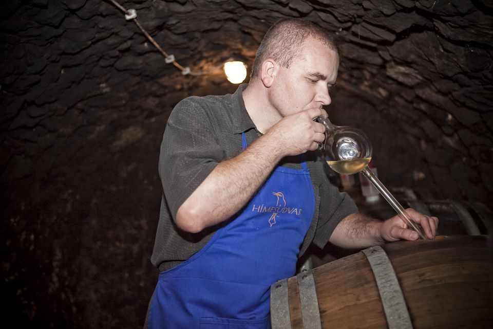 Tokaj: Vineyard Tour & Tasting - Activity Highlights