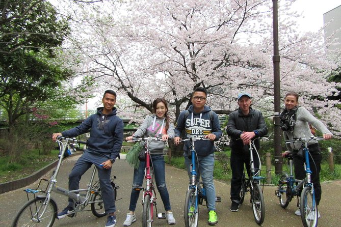 Tokyo by Bike: Skytree, Kiyosumi Garden and Sumo Stadium - Tour Highlights