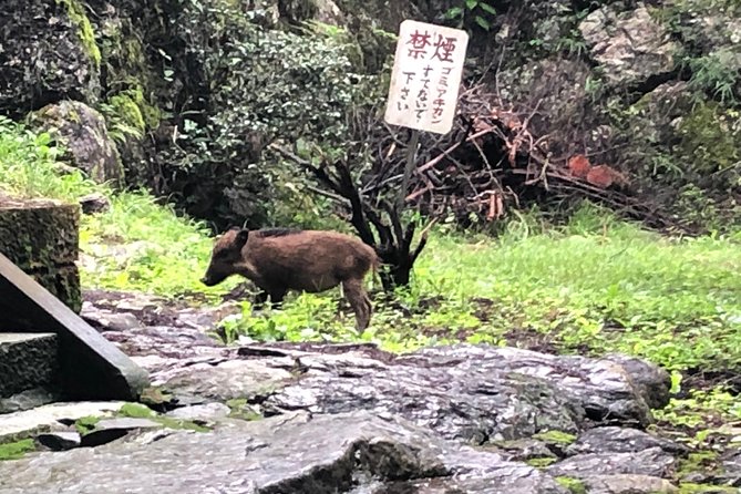 Tokyo Countryside Exploration Private Tour - Solo Travel Experience