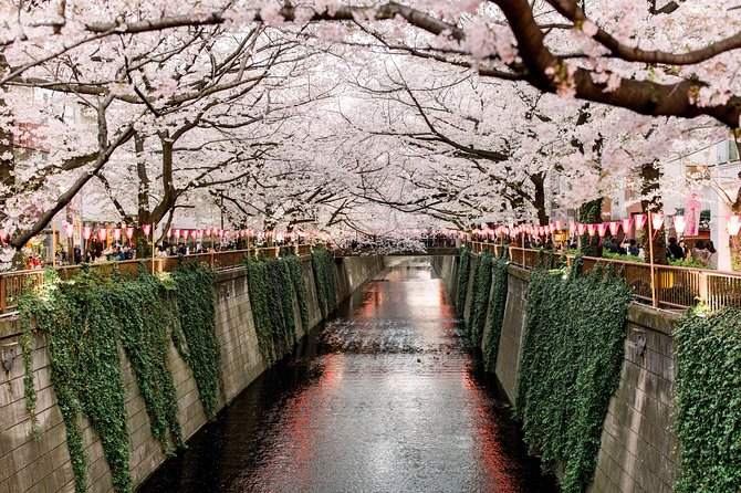 Tokyo Customizable Full-Day Private Tour (Mar ) - Inclusions and Exclusions