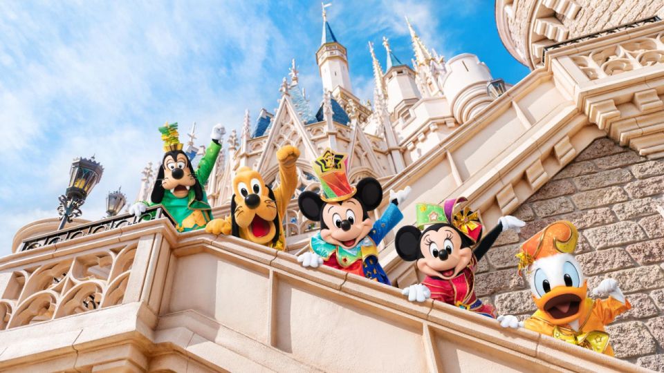 Tokyo Disneyland: 1-Day Entry Ticket and Private Transfer - Full Experience Description and Privileges