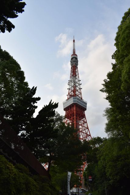 Tokyo: Famous Spots and Hidden Gems of the Capital - Shinjuku: Vibrant Urban Hub Experience