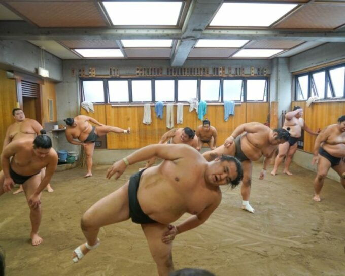 Tokyo: Sumo Morning Practice Tour in Ryogoku - Sumo Practice Experience Highlights