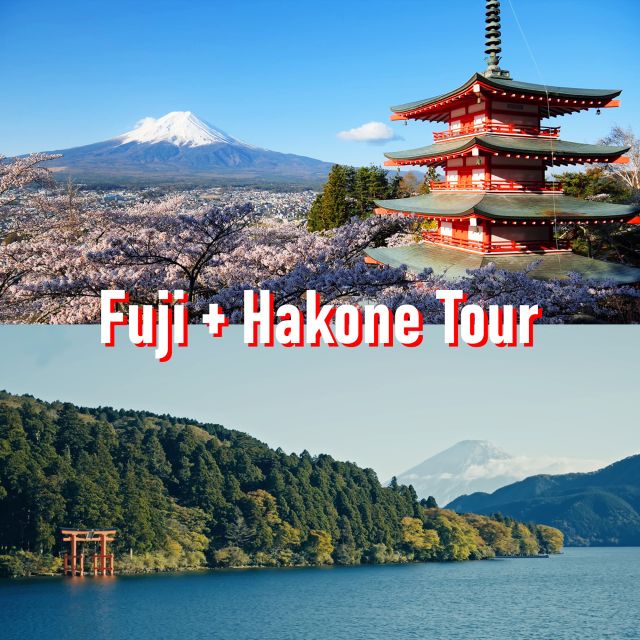 Tokyo to Mount Fuji and Hakone Private Full-day Tour - Tour Experience
