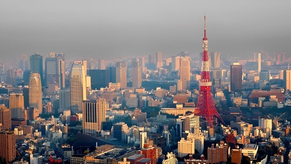 Tokyo Tower: Admission Ticket & Private Pick-up - Private Transfer Inclusions