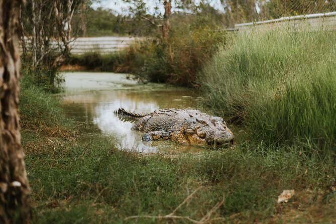 Top End Safari Camp Day Tour - Cancellation and Refund Policy