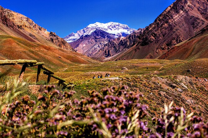 Tour Aconcagua Park in Small Group From Mendoza With Barbecue Lunch - Travel Logistics