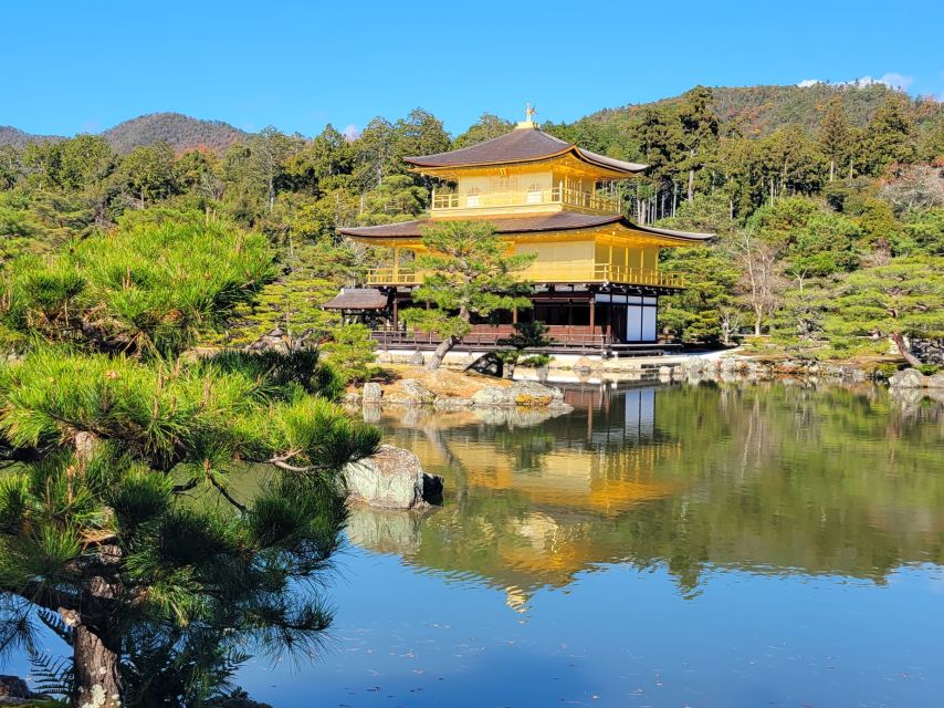 Tour in Kyoto With a Goverment Certified Tour Guide - Guide Information and Recommendations