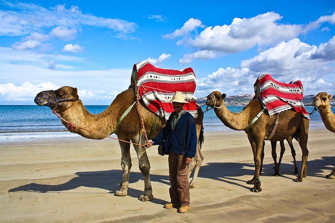 Tour of Tangier - Traveler Content and Photos