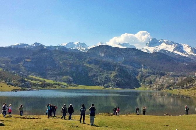 Tour to the Lakes of Covadonga and Sanctuary From Oviedo - Transportation and Logistics