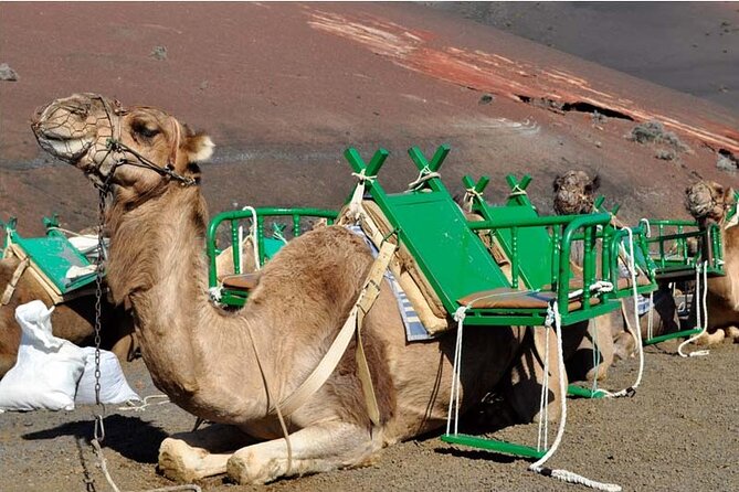 Tour to Timanfaya, Jameos Del Agua, Cueva De Los Verdes and Viewpoint From the Cliff - Cliff Viewpoint Experience