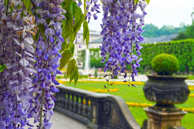 Touristic Highlights of Salzburg on a Private Half Day Tour With a Local - Culinary Delights and Local Cuisine