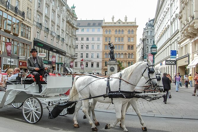 Touristic Highlights of Vienna on a Private Half Day Tour With a Local - Exclusive Access to Hidden Gems