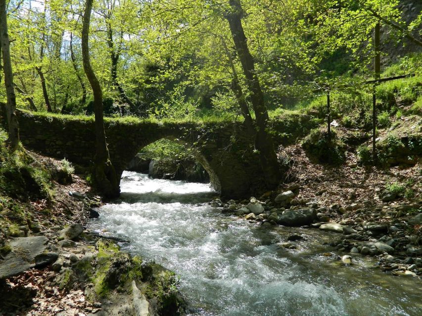 Trabzon: Sumela Monastery Day Tour With Lunch - Experience Inclusions