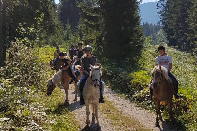 Trail Riding in the Gesaeuse National Park - Best Trail Riding Routes