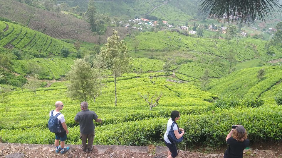 Trekking From Kandy to Ella - Discover Kandys Cultural Treasures