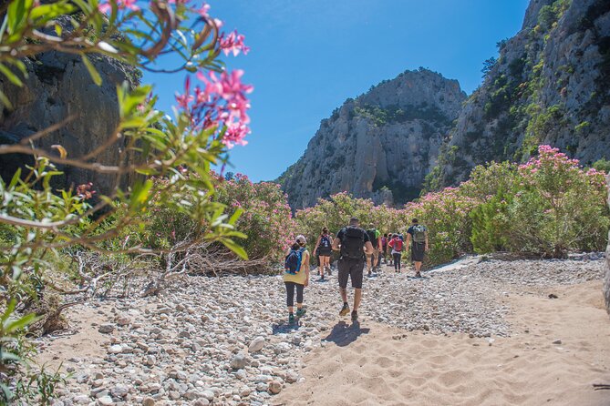 Trekking to Cala Luna the Pearl of the Gulf of Orosei - Understand the Cancellation Policy