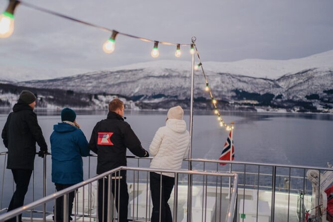 Tromsø, Northern Lights and Wilderness Evening Catamaran Cruise - Traveler Reviews and Feedback