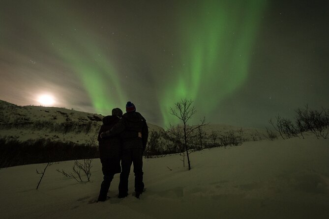 Tromsø Norway - Private Northern Lights Tour With Local Guide - Cancellation Policy Overview
