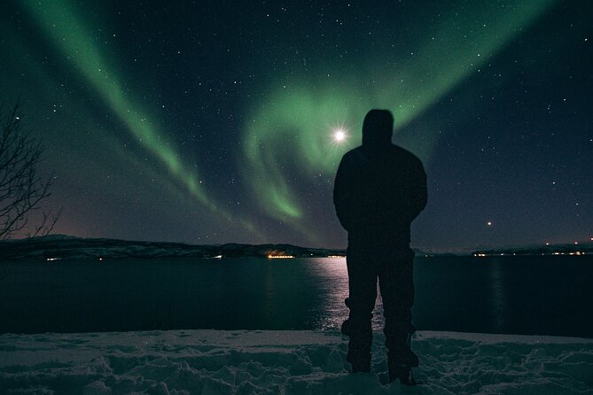Tromsø Norway - Small Group Aurora Hunt Tour With a Local Guide - Tour Operator Information