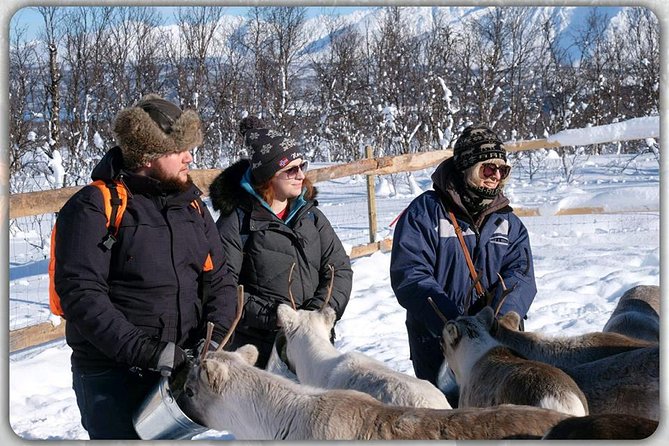 Tromsø Reindeer & Sami Culture Experience (Mar ) - Visitor Feedback