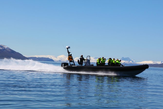 Tromsø: Skjervøy RIB Whale Watching Tour With Drinks & Snack - Admission Details