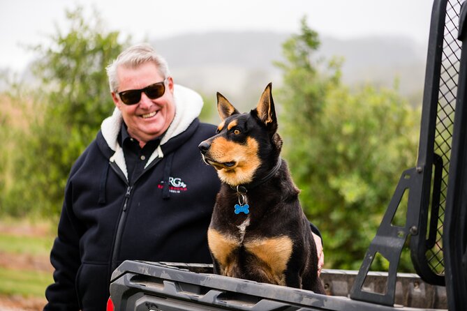 Truffle Hunt and Taste Experience in Oberon, NSW Australia - Participant Requirements