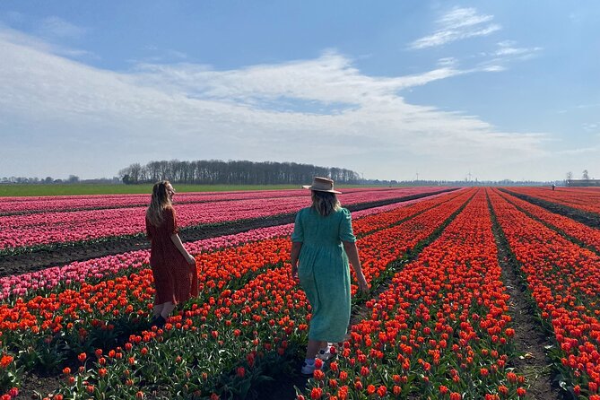 Tulip Field With a Dutch Windmill Tour From Amsterdam - Logistics