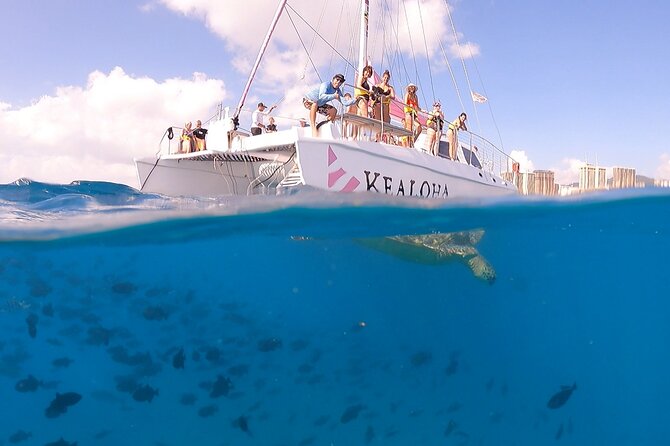 Turtle Snorkeling Adventure in Waikiki (Boat Tour) - Additional Information